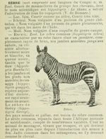 Zèbre article Larousse illustré.jpg