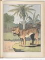Le Buffon choisi de Benjamin Rabier, page f75.jpg