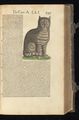 Historia animalium Gessner 1551 BHL Getty page 387.jpg