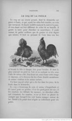 Buffon illustré de la jeunesse - 1893 Gallica page f203.jpg
