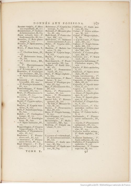 Buffon Hist Nat E.O. Tome P5 f859.jpg
