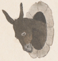 Buffon Rabler Ane image 5.png