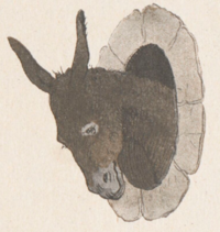 Buffon Rabler Ane image 5.png