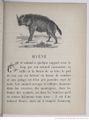 Alphabet illustré des animaux (1862) Doudet f61.jpg