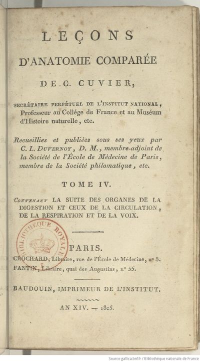 Anatomie Comparée (1805) Cuvier T4 page 15.jpg