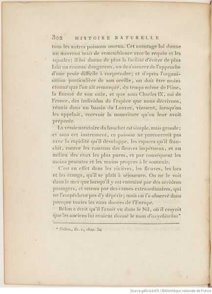 Fichier:Buffon Hist Nat E.O. Tome P5 f392.jpg