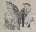 Alphabet Doudet Dromadaire Lettrine.jpg