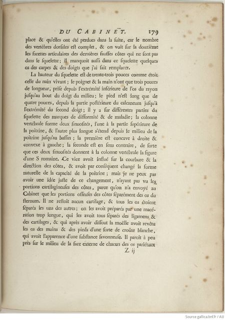 Buffon Hist Nat E.O. Tome 15 f229.jpg