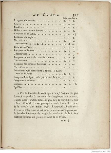 Buffon Hist Nat E.O. Tome 8 f479.jpg