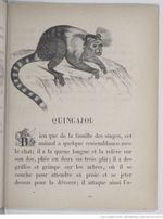 Alphabet illustré des animaux (1862) Doudet f49.jpg