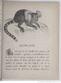 Alphabet illustré des animaux (1862) Doudet f49.jpg