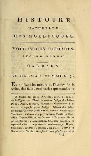 Histoire naturelle des mollusques (1801) Montfort, tome 2, pages 13.jpg