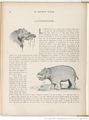 Le Buffon choisi de Benjamin Rabier, page f110.jpg
