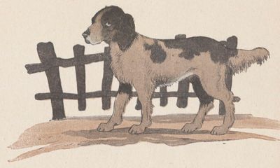 Buffon Rabier Chien image 2.jpg
