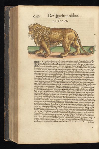 Historia animalium Gessner 1551 BHL Getty page 684.jpg