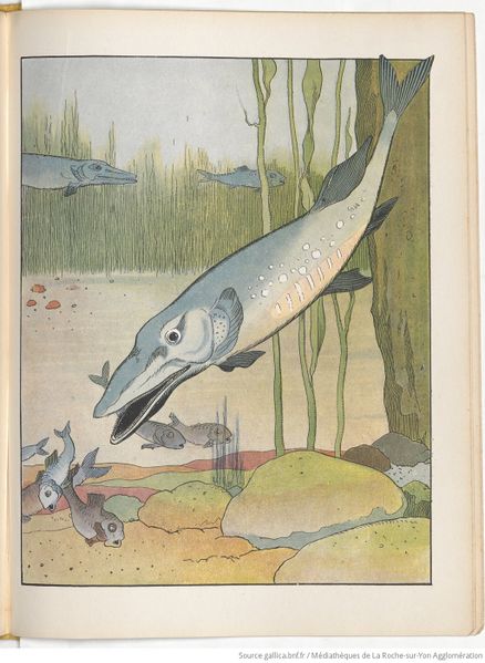 Fichier:Le Buffon choisi de Benjamin Rabier, page f259.jpg