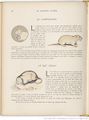 Le Buffon choisi de Benjamin Rabier, page f88.jpg