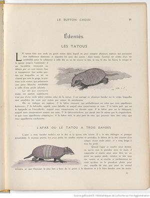 Le Buffon choisi de Benjamin Rabier, page f97.jpg