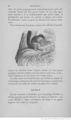 Buffon illustré de la jeunesse - 1893 Gallica page f50.jpg