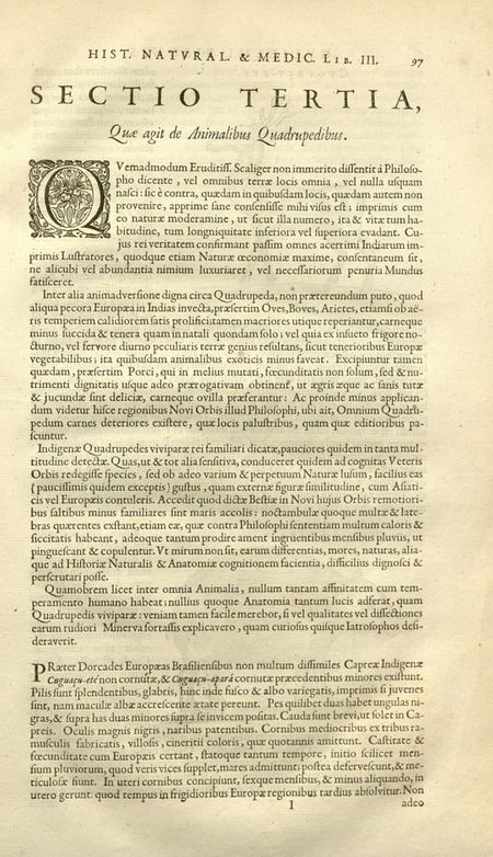 De Indiae re naturali (1658) Piso, page 97.jpg