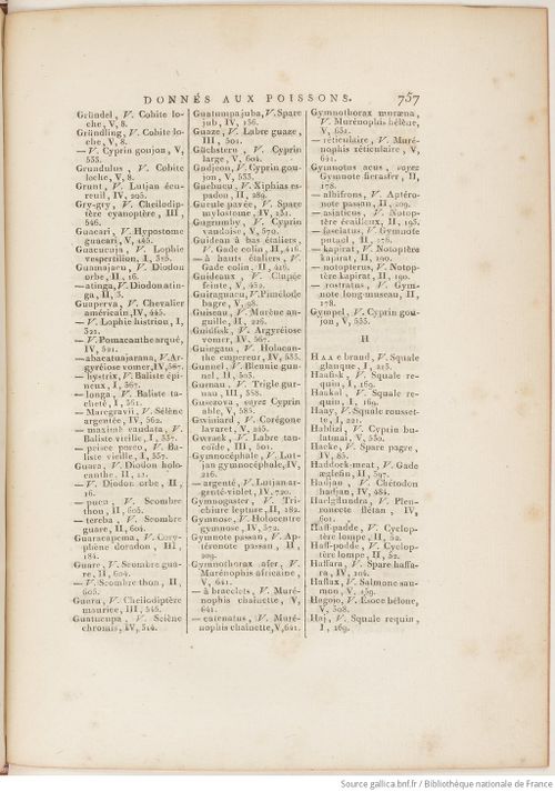 Buffon Hist Nat E.O. Tome P5 f879.jpg
