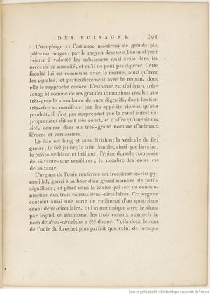 Buffon Hist Nat E.O. Tome P5 f391.jpg