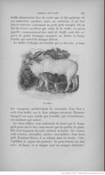 Buffon illustré de la jeunesse - 1893 Gallica page f113.jpg