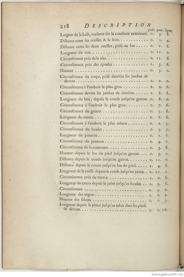Buffon Hist Nat E.O. Tome 6 f294.jpg