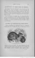 Buffon illustré de la jeunesse - 1893 Gallica page f121.jpg