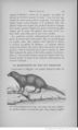 Buffon illustré de la jeunesse - 1893 Gallica page f129.jpg