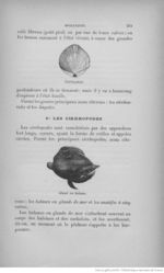 Buffon illustré de la jeunesse - 1893 Gallica page f279.jpg
