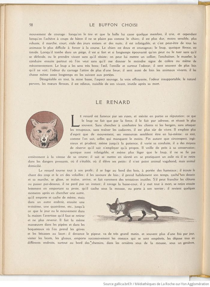 Le Buffon choisi de Benjamin Rabier, page f66.jpg