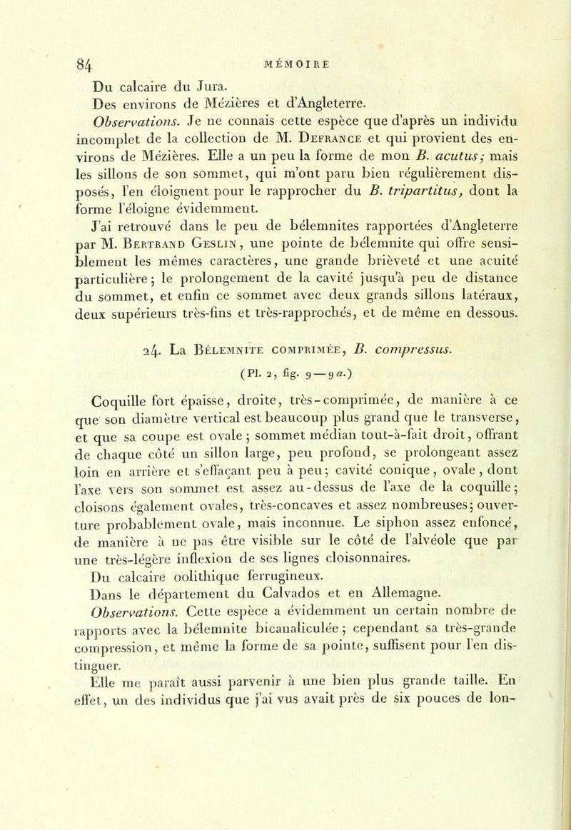 Mémoire bélemnites (1827) Blainville BHL page 98.jpg