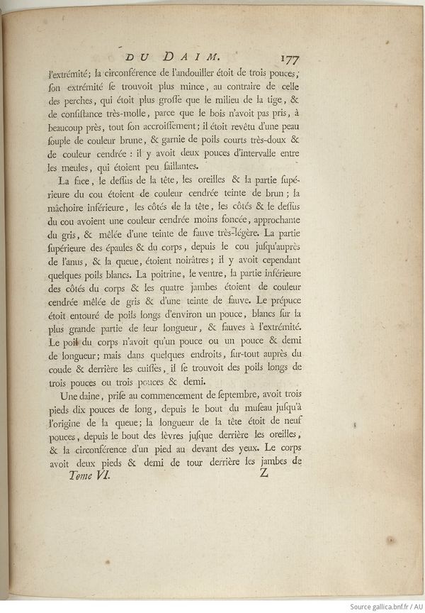 Buffon Hist Nat E.O. Tome 6 f243.jpg