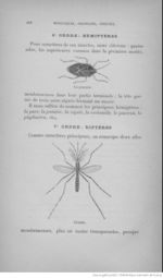 Buffon illustré de la jeunesse - 1893 Gallica page f310.jpg