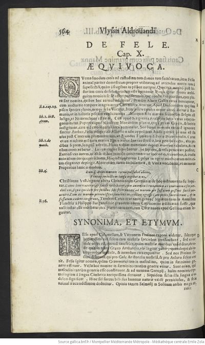 De quadrupedibus digitatis (1649) Aldrovandi Gallica page 576.jpg
