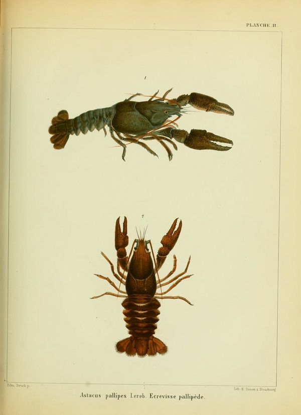 ALS Mémoires 1858 page 225.jpg