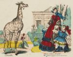 Giraffe JDP Paris Epinal.jpg