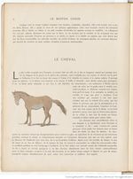 Le Buffon choisi de Benjamin Rabier, page f14.jpg