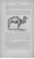 Buffon illustré de la jeunesse - 1893 Gallica page f108.jpg