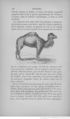 Buffon illustré de la jeunesse - 1893 Gallica page f108.jpg