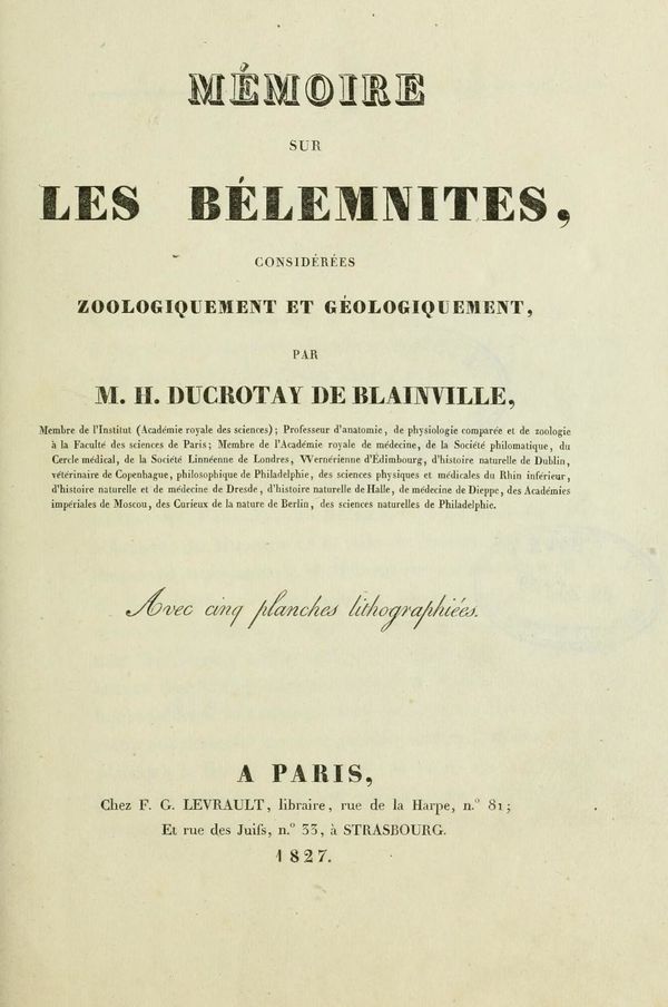 Mémoire bélemnites (1827) Blainville BHL page 9.jpg