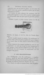 Buffon illustré de la jeunesse - 1893 Gallica page f278.jpg