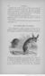 Buffon illustré de la jeunesse - 1893 Gallica page f128.jpg
