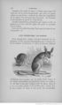 Buffon illustré de la jeunesse - 1893 Gallica page f128.jpg