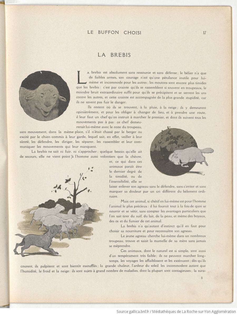 Le Buffon choisi de Benjamin Rabier, page f25.jpg