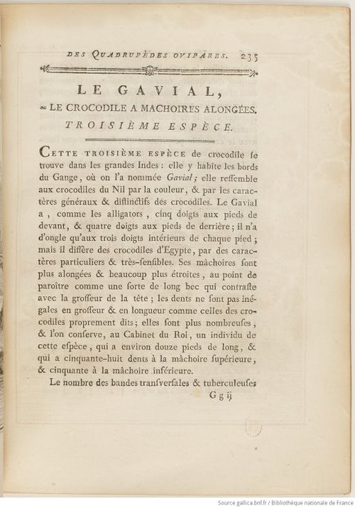 Buffon Hist Nat E.O. Tome 37 f293.jpg