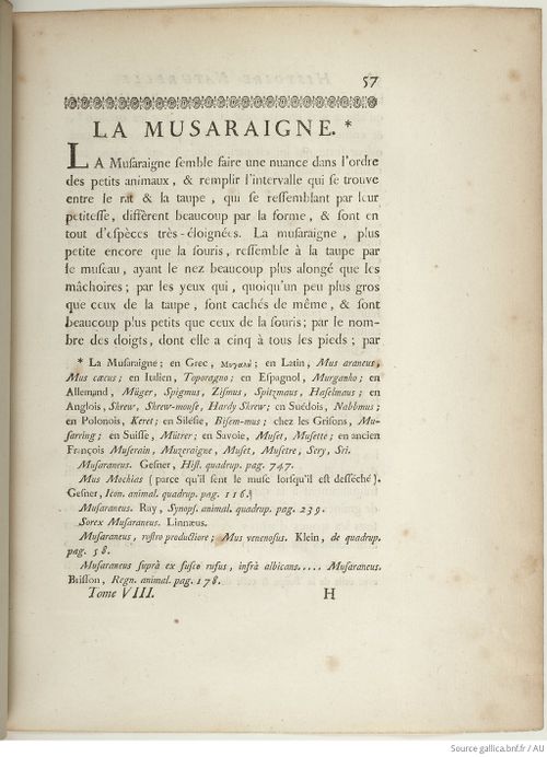 Buffon Hist Nat E.O. Tome 8 f91.jpg