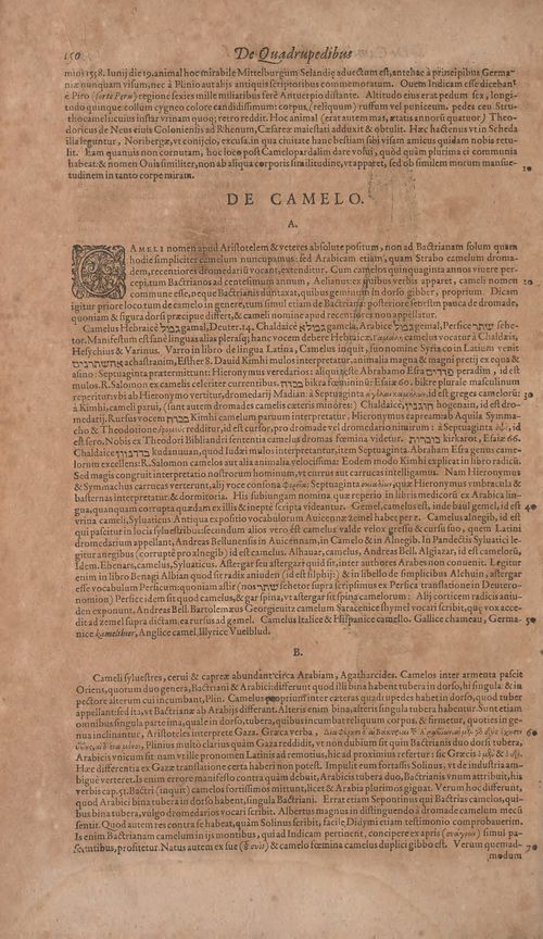 Historiae animalium Gessner secundo page 196.jpg