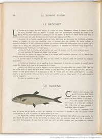 Le Buffon choisi de Benjamin Rabier, page f258.jpg